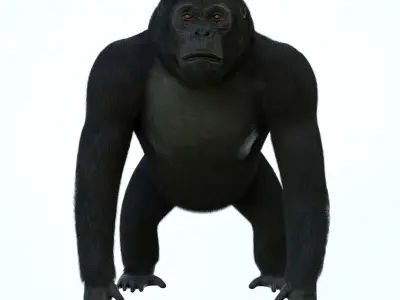 GORILLA 3D model