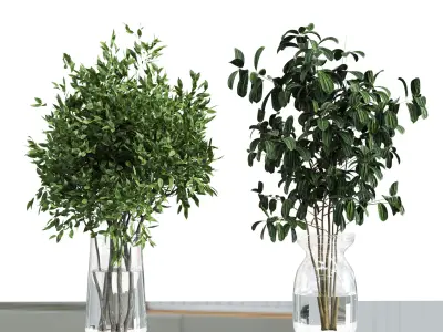 Collection Green Plants Bouquet Indoor 11 Low-poly 3D model