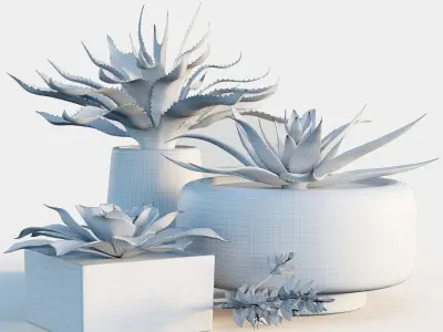 Plants collection 10 3D model