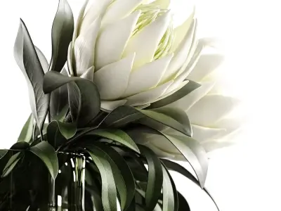 in the willow 3D model