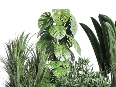 indoor plant ficus rubbery monstera palm binnendijkii concrete 3D model