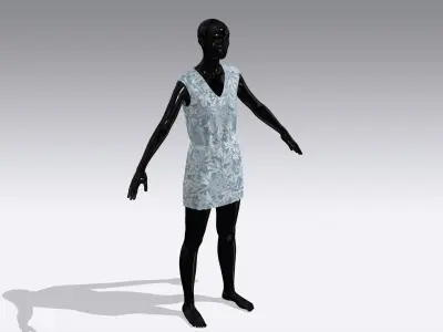 Woman Cloth Dress Low-poly 3D model