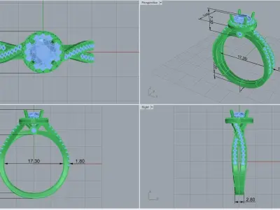 ring code 218 3D print model