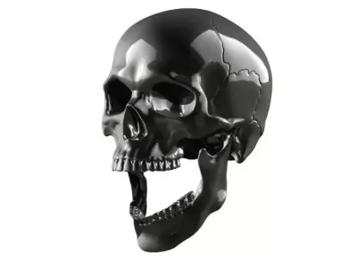 Skull articulated 3D print model