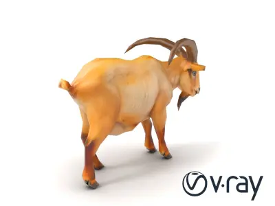 Beige Coat Curved Horn Goat model pack Low-poly 3D model