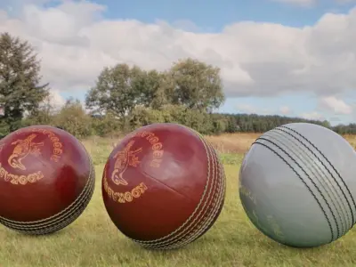 Red and White Cricket Balls 3D model