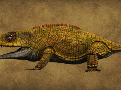 Cacops aspidephorus Low-poly 3D model