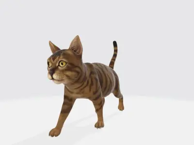 Cat High poly 3D model