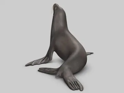 Sea Lion V2 3D model