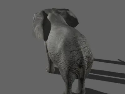 PRO Elephant 1 - 3d model 3D model