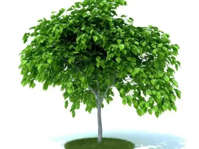 Green Artificial Garden Plant 3D model