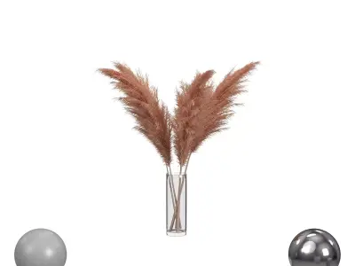 pampas grass 3D model purchase