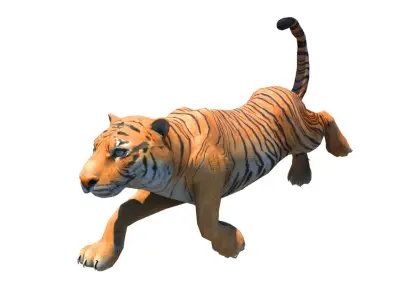 Bengol Tiger rigged and  Animated 3D model