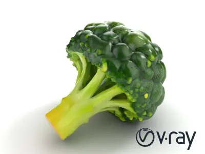 Detailed Green Broccoli Model Pack Low-poly 3D model
