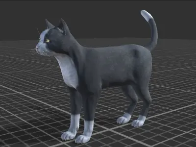Cat pack 2 Low-poly 3D model