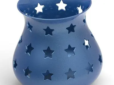 Stylish Star Flower Vase 3D print model