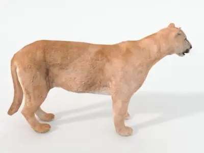 Cougar panther Low-poly 3D model