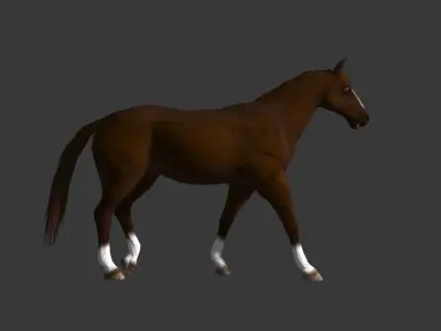 horse walk 3D model