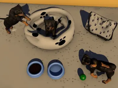 Pet Acessories Low-poly 3D model