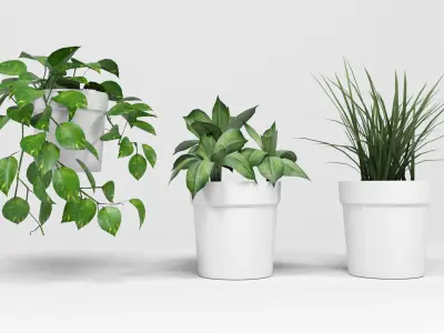 Plants pack 2 Low-poly 3D model