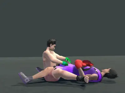 MMA Fight Animations  Low-poly 3D model