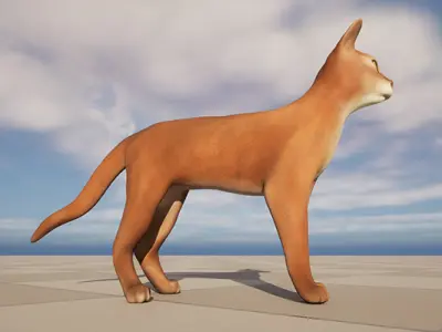 Abyssinian Cat 3D Model Low-poly 3D model
