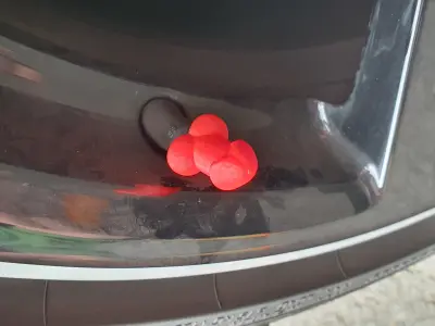 Funny Cock Valve Cap Hilarious Tire Valve Cover to Prank Friends 3D print model