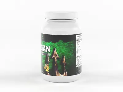 Protein Powder 3D model