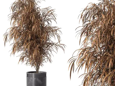 Indoor Plant Set 01 3D model purchase