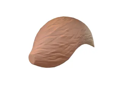 Fox Tail v1 002 Low-poly 3D model