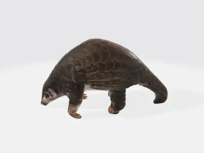 Realistic Cute Pangolin Model High Poly 3D model
