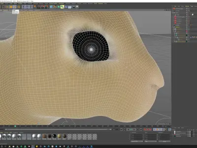 Young Rabbit  with hair 3D model