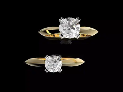 Gold N1621 3D print model