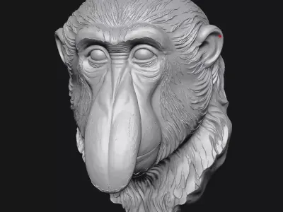 Proboscis Monkey 3D print model