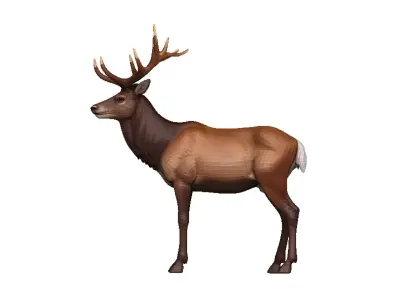 Elk-Elk Low-poly 3D model
