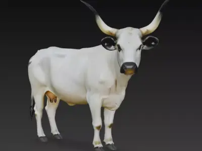 White Park Cow Low-poly 3D model