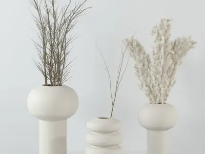 Dry plant set  3D model
