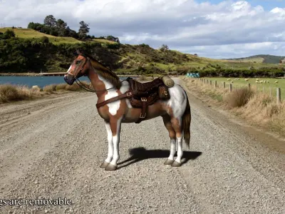 Pinto Horse with saddle and bags Low-poly 3D model