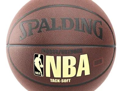 wilson and spalding basketball 3D model