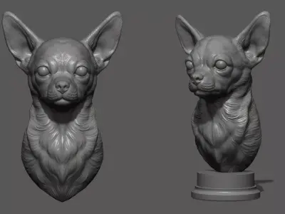 Chihuahua bust 3D print model
