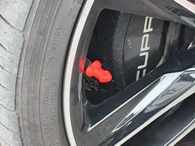 Funny Cock Valve Cap Hilarious Tire Valve Cover to Prank Friends 3D print model