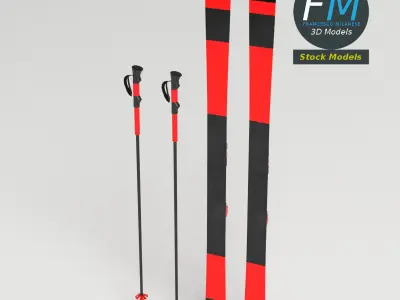 Alpine skis with poles 3D model