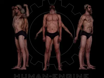 6 Male Standing Poses Anatomical Reference Bundle 007 3D model