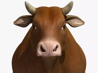 bull cow buffalo 3D model