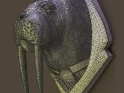 Walrus head 3D model
