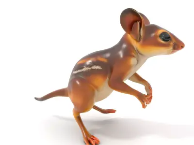 Playful Jerboa Creature model pack Low-poly 3D model