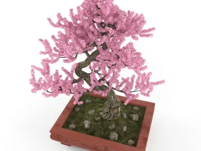 Sakura bonsai 3D model