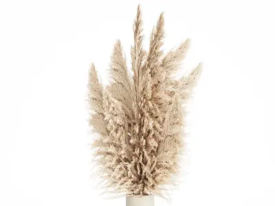 Bouquet Dried Flowers Branches Cortaderia Pampas vase 554 3D model