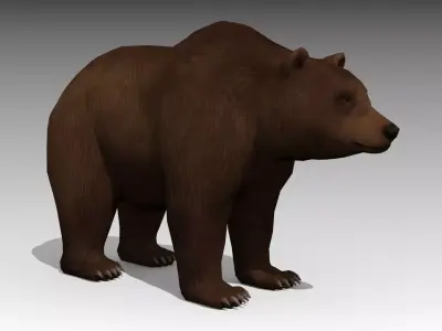 Grizzly Bear Animated Low-poly 3D model