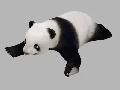 animated panda Low-poly 3D model